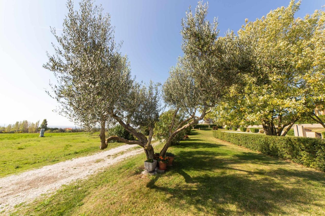 Agriturismo Bella Cima Montefiascone Exteriör bild